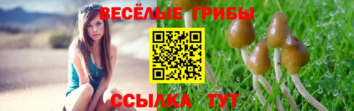 Бошки Шишки  НБОМе  Экстази  Cocaine  Набережные Челны  Гашиш  Вход с VPN  Codein  Купить наркотик  Меф  Меф МЯУ МЯУ  